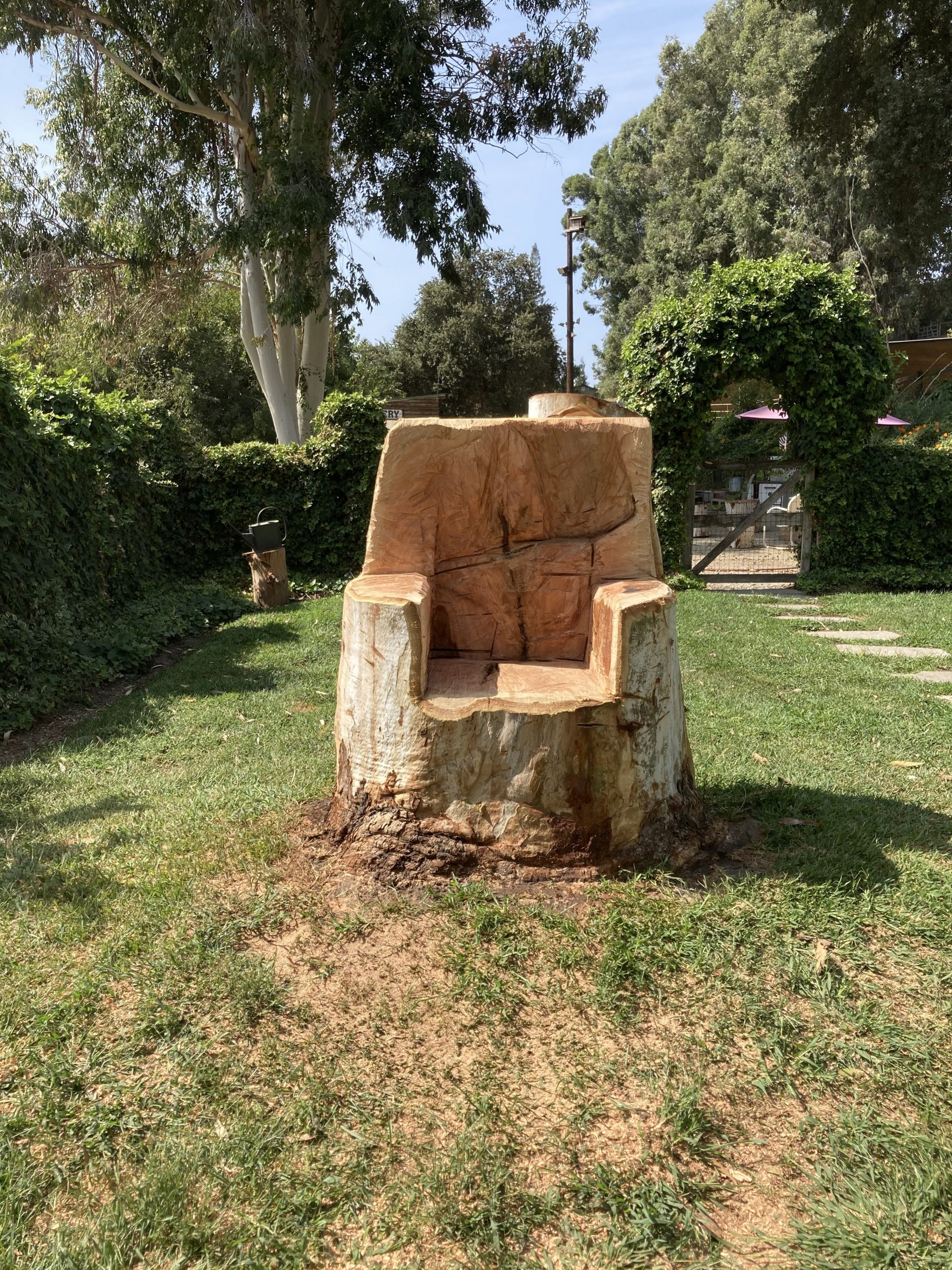 tree pruning modesto ca 11 Stump grinding